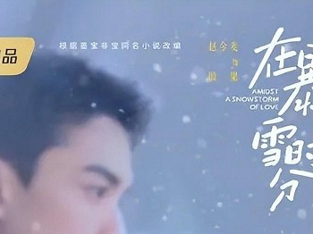 《在暴雪时分》仅播5集评分9.4又有一部值得熬夜追的偶像剧